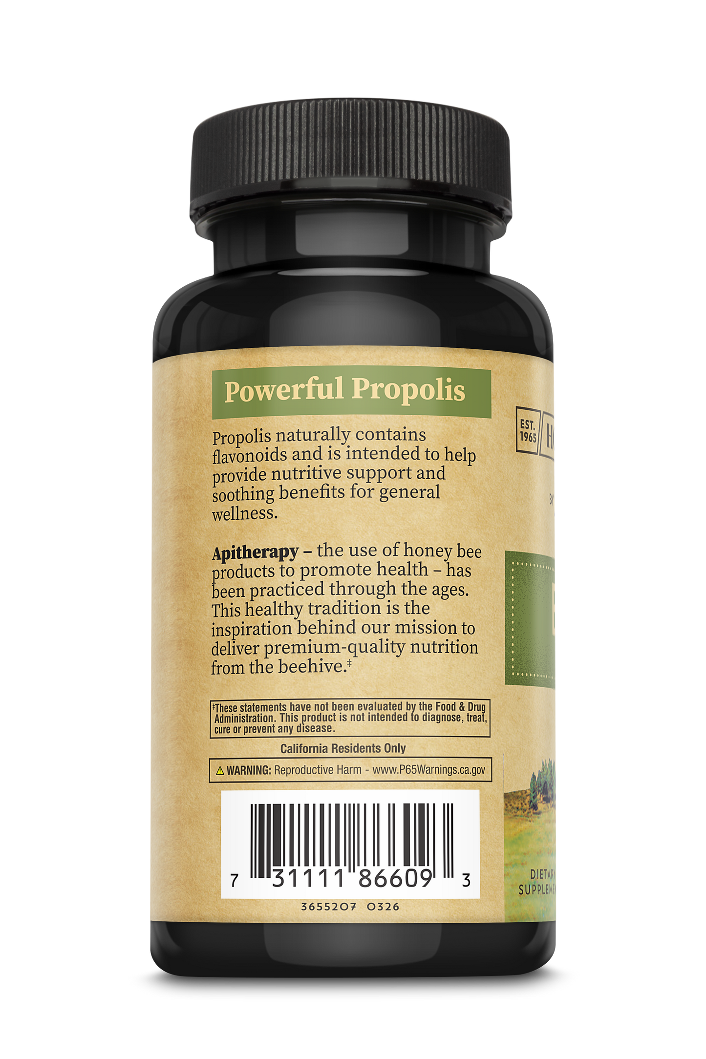 Bee Propolis