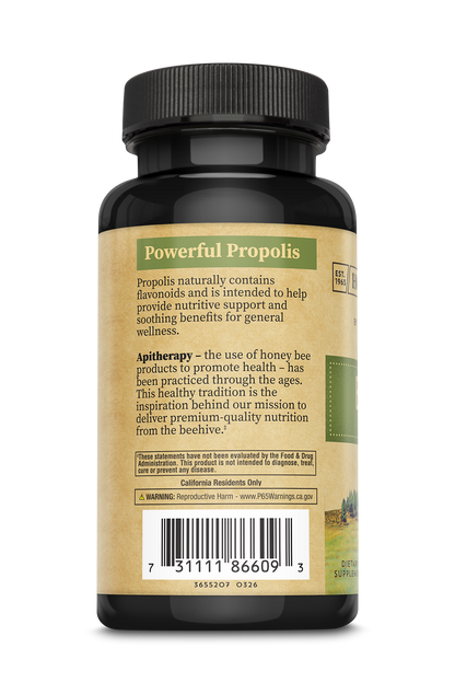 Bee Propolis